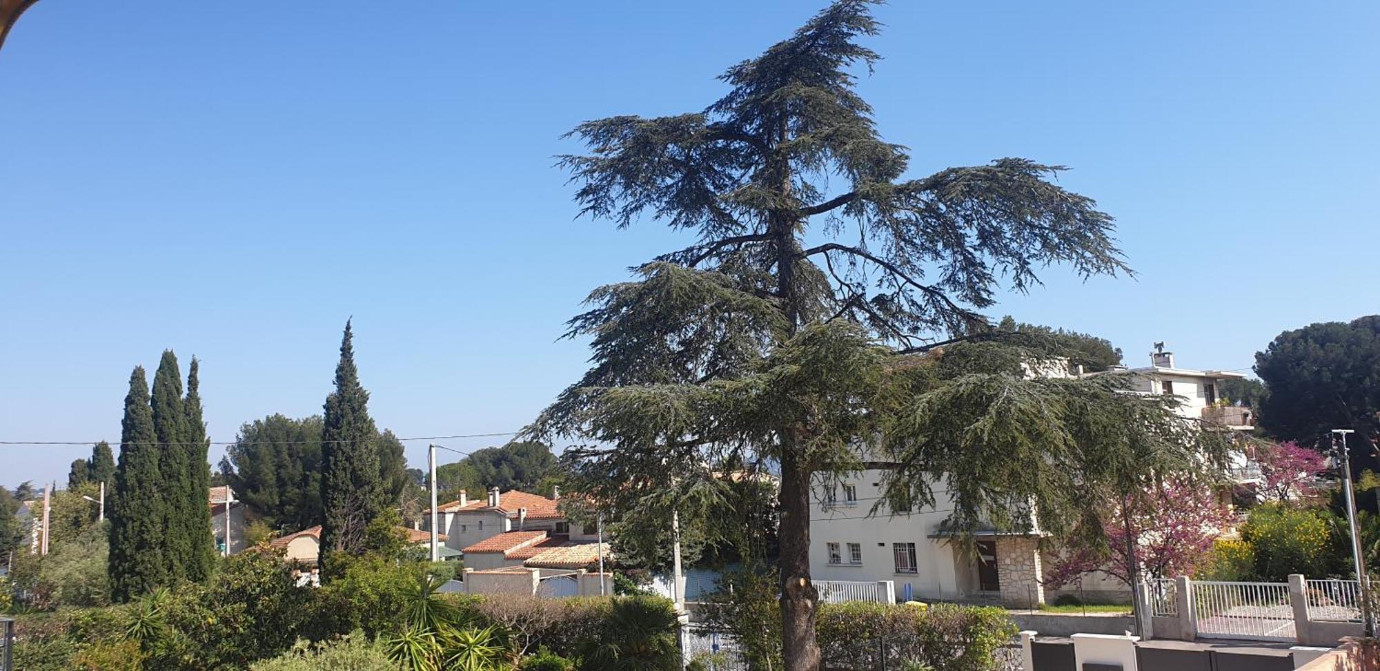 Les Vagues Bleues Apartamento La Ciotat Exterior foto